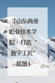 山东商业职业技术学院：打造“数字工匠”摇篮