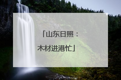 山东日照：木材进港忙