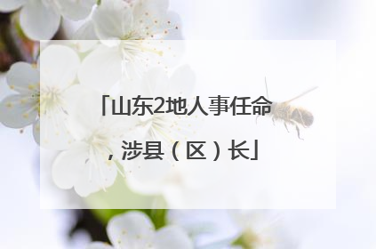 山东2地人事任命，涉县（区）长