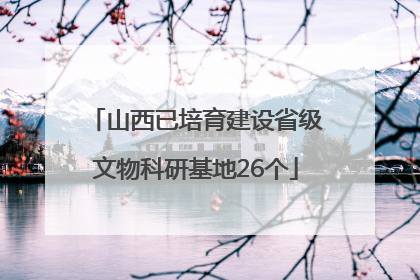 山西已培育建设省级文物科研基地26个