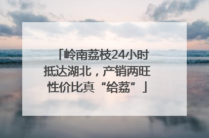 岭南荔枝24小时抵达湖北，产销两旺性价比真“给荔”