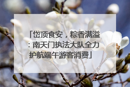 岱顶食安，粽香满溢：南天门执法大队全力护航端午游客消费