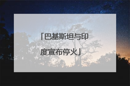 巴基斯坦与印度宣布停火