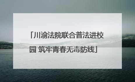 川渝法院联合普法进校园 筑牢青春无毒防线