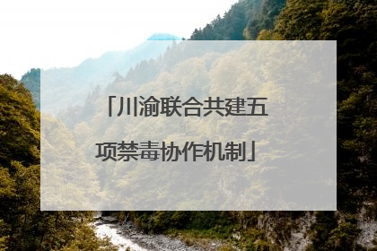 川渝联合共建五项禁毒协作机制