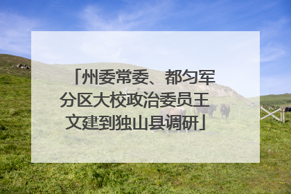 州委常委、都匀军分区大校政治委员王文建到独山县调研