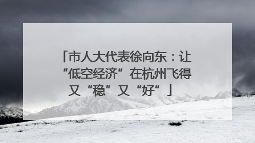 市人大代表徐向东：让“低空经济”在杭州飞得又“稳”又“好”