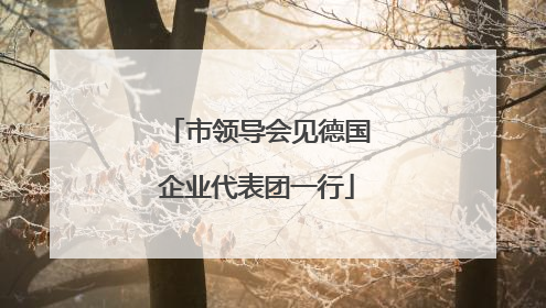市领导会见德国企业代表团一行