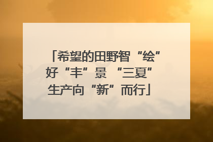 希望的田野智“绘”好“丰”景 “三夏”生产向“新”而行