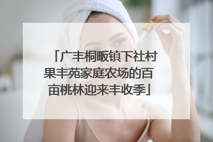 广丰桐畈镇下社村果丰苑家庭农场的百亩桃林迎来丰收季