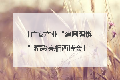 广安产业“建圈强链”精彩亮相西博会