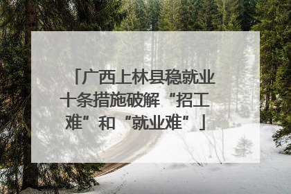 广西上林县稳就业十条措施破解“招工难”和“就业难”