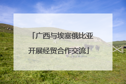 广西与埃塞俄比亚开展经贸合作交流