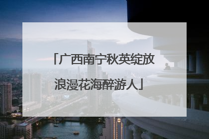 广西南宁秋英绽放 浪漫花海醉游人