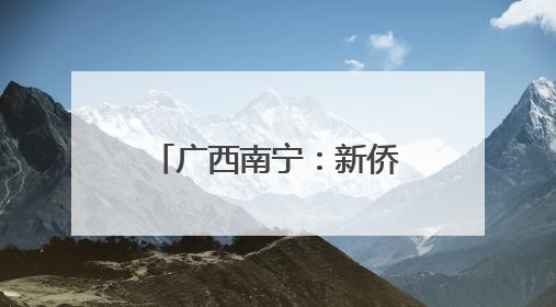 广西南宁：新侨代表共叙端午情