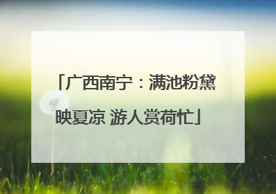 广西南宁：满池粉黛映夏凉 游人赏荷忙