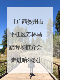 广西贺州市平桂区芳林马蹄专场推介会走进哈尔滨