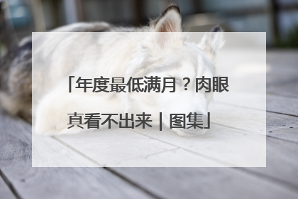 年度最低满月？肉眼真看不出来｜图集