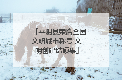 平阴县荣膺全国文明城市称号 文明创建结硕果
