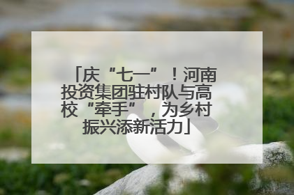 庆“七一”！河南投资集团驻村队与高校“牵手”，为乡村振兴添新活力