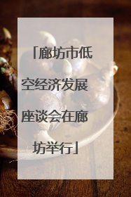 廊坊市低空经济发展座谈会在廊坊举行