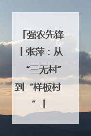 强农先锋丨张萍：从“三无村”到“样板村”