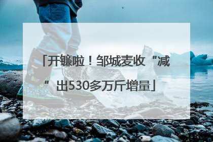 开镰啦！邹城麦收“减”出530多万斤增量