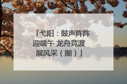 弋阳：鼓声阵阵迎端午 龙舟竞渡展风采（图）