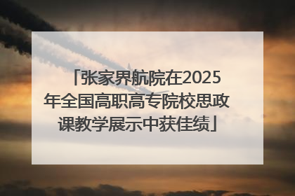 张家界航院在2025年全国高职高专院校思政课教学展示中获佳绩