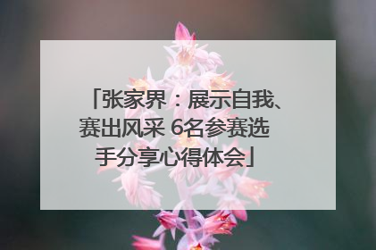张家界：展示自我、赛出风采 6名参赛选手分享心得体会