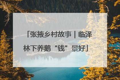 张掖乡村故事｜临泽林下养鹅“钱”景好