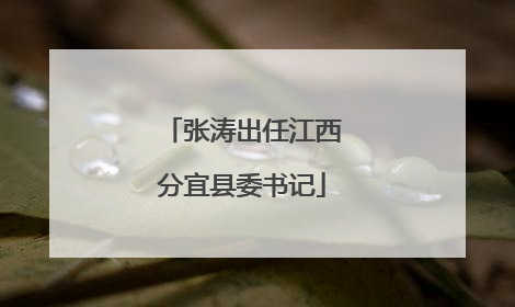 张涛出任江西分宜县委书记