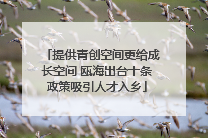 提供青创空间更给成长空间 瓯海出台十条政策吸引人才入乡
