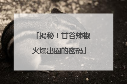 揭秘！甘谷辣椒火爆出圈的密码