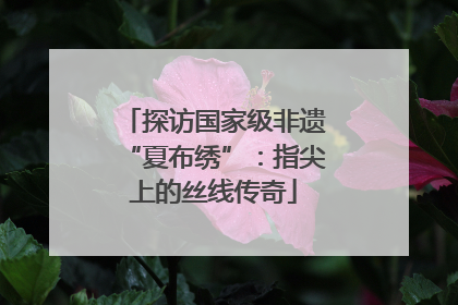探访国家级非遗“夏布绣”：指尖上的丝线传奇