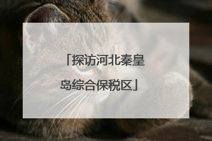 探访河北秦皇岛综合保税区
