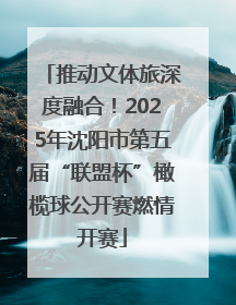 推动文体旅深度融合！2025年沈阳市第五届“联盟杯”橄榄球公开赛燃情开赛