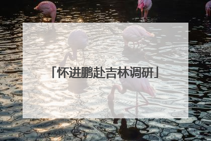 怀进鹏赴吉林调研