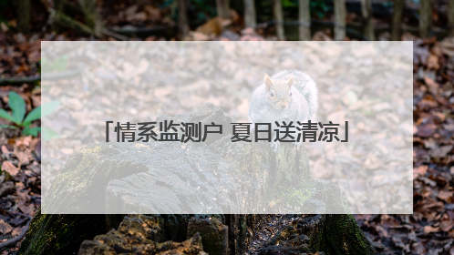 情系监测户 夏日送清凉