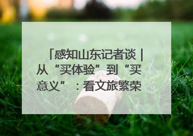 感知山东记者谈｜从“买体验”到“买意义”：看文旅繁荣背后的幸福新定义