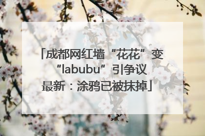 成都网红墙“花花”变“labubu”引争议 最新：涂鸦已被抹掉