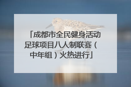 成都市全民健身活动足球项目八人制联赛（中年组）火热进行