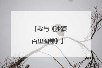 我与《沙颍百里图卷》