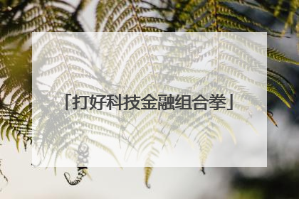 打好科技金融组合拳