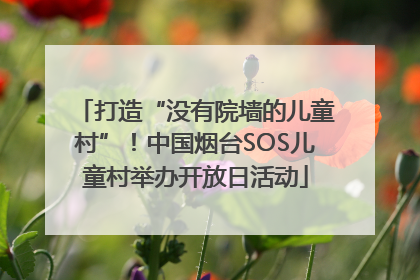打造“没有院墙的儿童村”！中国烟台SOS儿童村举办开放日活动