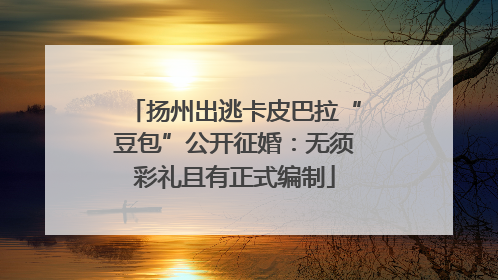 扬州出逃卡皮巴拉“豆包”公开征婚：无须彩礼且有正式编制