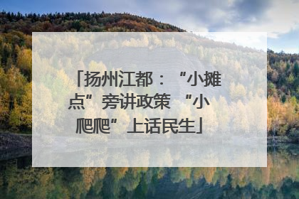 扬州江都：“小摊点”旁讲政策 “小爬爬”上话民生