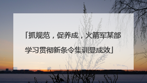 抓规范，促养成，火箭军某部学习贯彻新条令集训显成效
