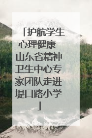 护航学生心理健康 山东省精神卫生中心专家团队走进堤口路小学