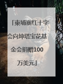柬埔寨红十字会向坤塔宝花基金会捐赠100万美元